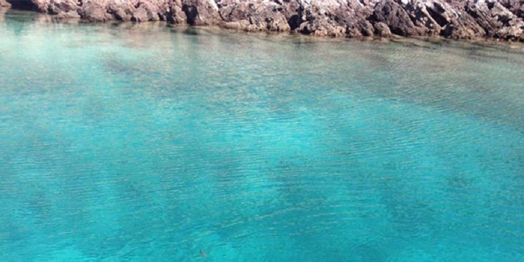 Doğanın içinde eşsiz bir sığınak! Denizaltında renkli dünya, üstünde doğallık: Burada ruhunuz yenilenecek 5